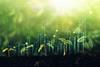 sustainable-finance