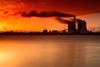 shutterstock_525204619