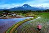 Water risks flood