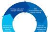 Forestry investment process