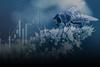 2021_CBD COP15 - WHAT DOES THE GLOBAL BIODIVERSITY FRAMEWORK MEAN FOR INVESTORS_hero