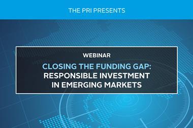 Closing the funding gap- responsible investment in emerging markets