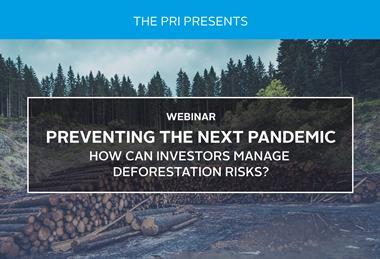 Preventing the Next Pandemic-How Can Investors Manage Deforestation Risks