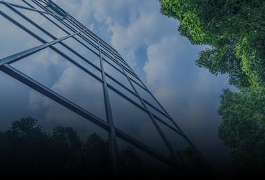 Barriers to net zero - How firms can make or break the green transition