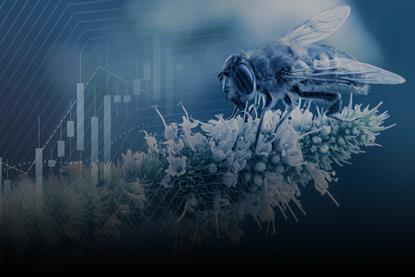 2021_CBD COP15 - WHAT DOES THE GLOBAL BIODIVERSITY FRAMEWORK MEAN FOR INVESTORS_hero
