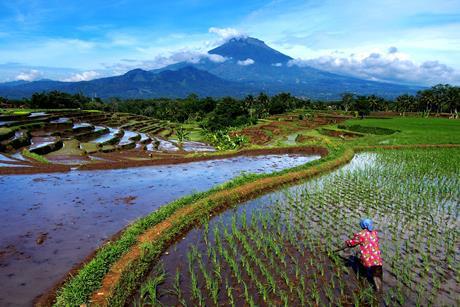 Water risks flood