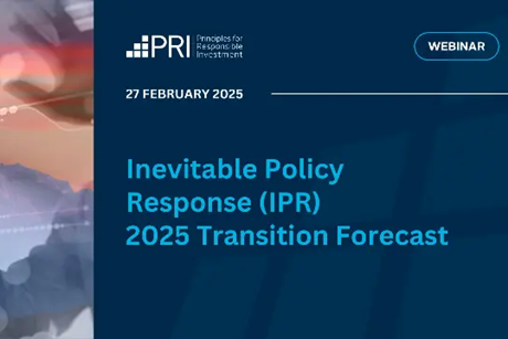 ipr 2025 transition forecast png